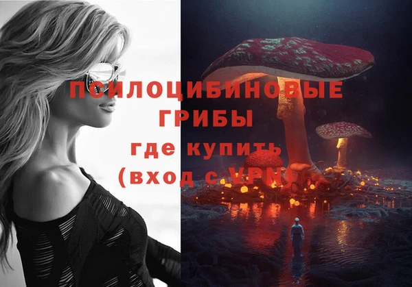 не бодяженный Волоколамск