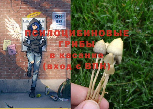 не бодяженный Волоколамск