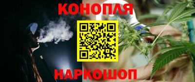 крисы Кандалакша