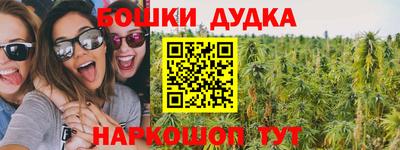 крисы Кандалакша