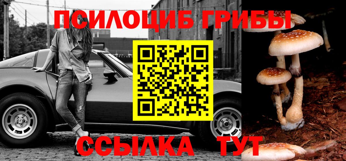 Галлюциногенные грибы MAGIC MUSHROOMS  Вход с VPN  Мариинск 